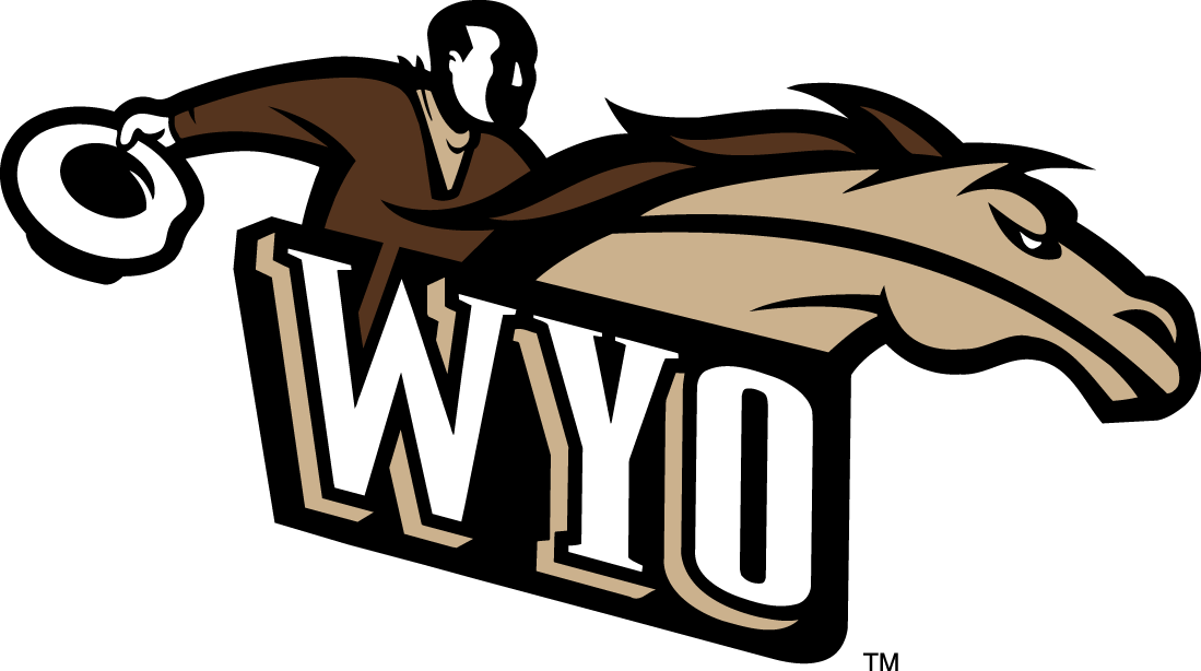 Wyoming Cowboys 1997-2006 Alternate Logo v2 diy fabric transfer